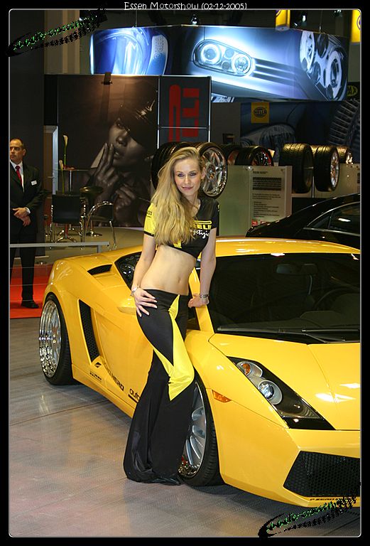 521x768 pixels (96K)