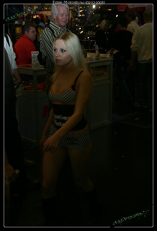 521x768 pixels (48K)