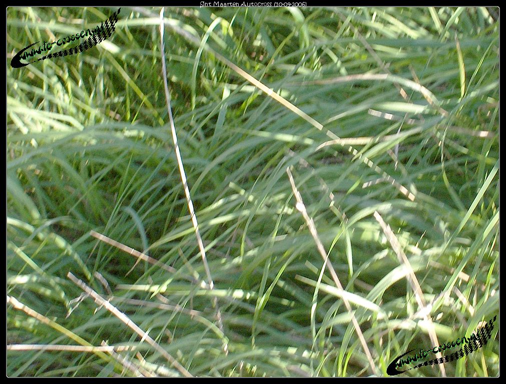 1011x768 pixels (208K)