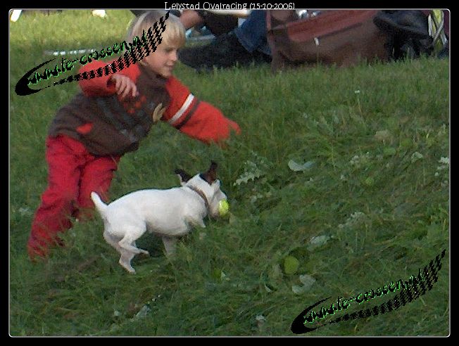 652x492 pixels (80K)