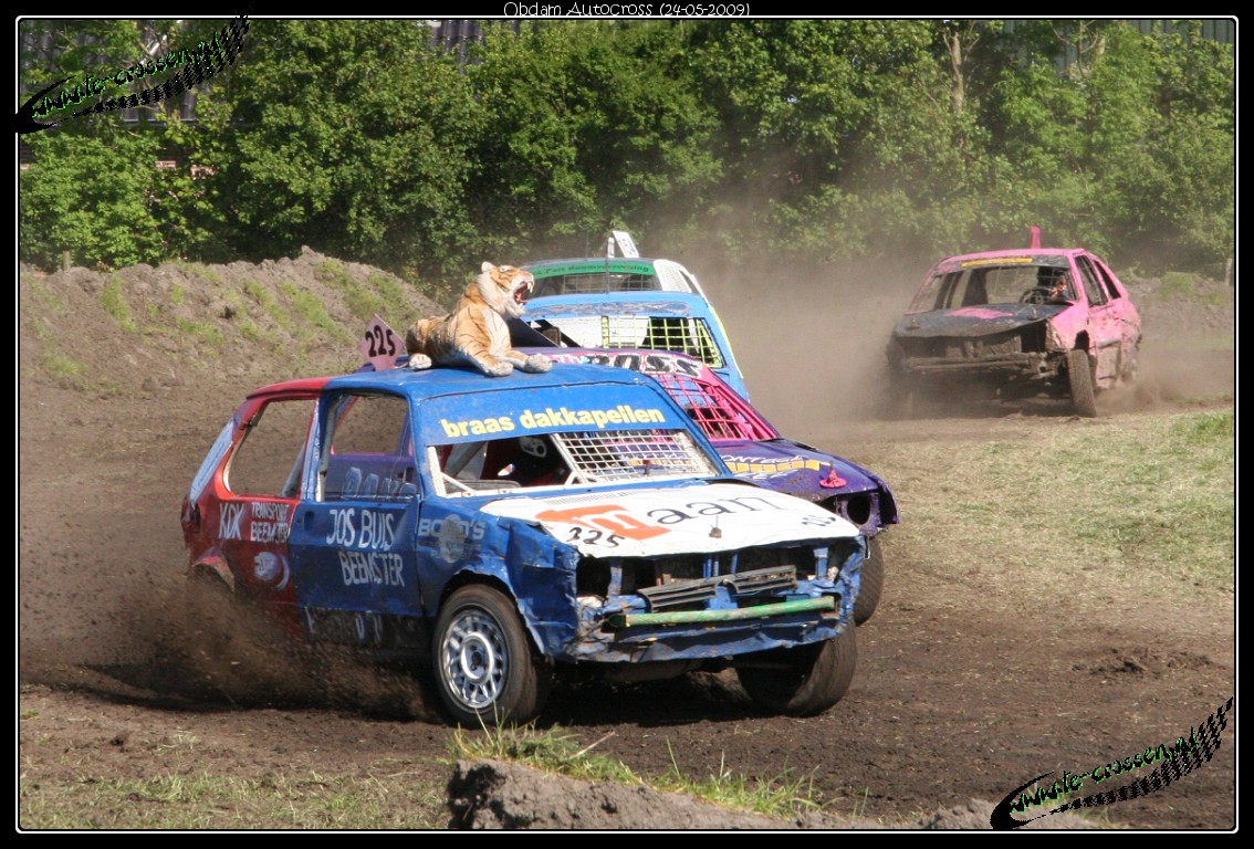 1134x768 pixels (307K)