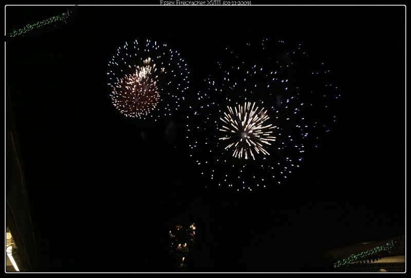 800x541 pixels (80K)