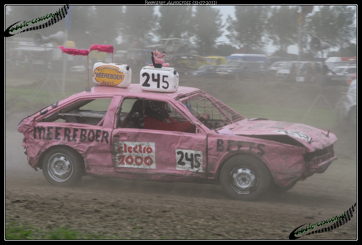 1181x800 pixels (195K)