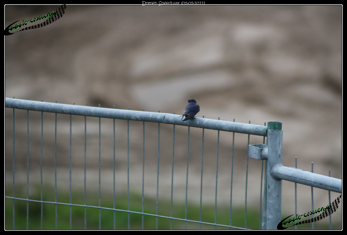 1182x800 pixels (1.039K)