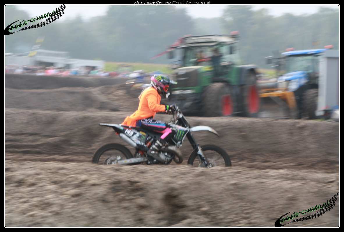 1182x800 pixels (95K)