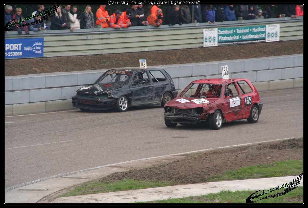 1182x800 pixels (117K)